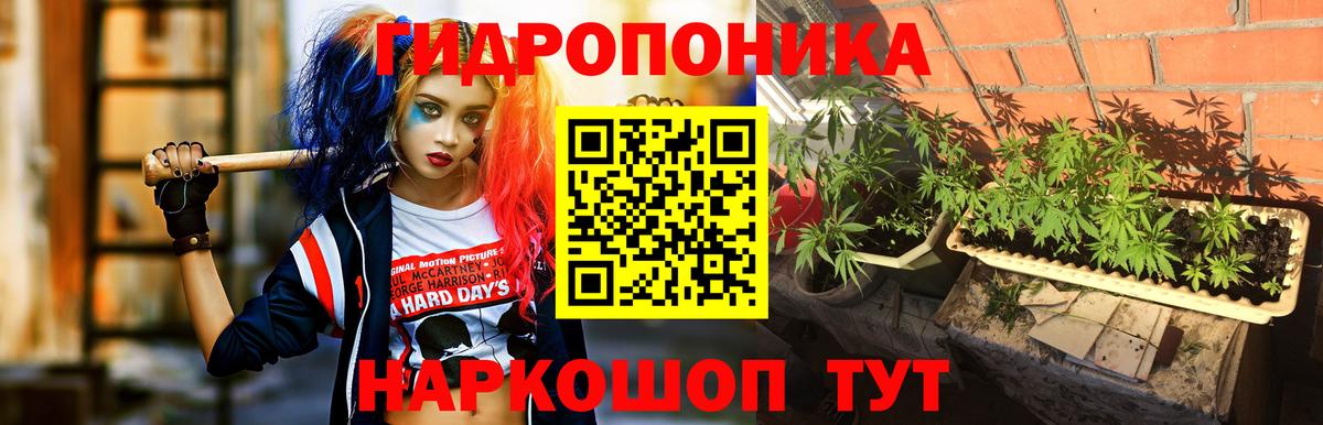 Каннабис гибрид  Марихуана OG Kush  МАРИХУАНА марихуана  Арсеньев  Марихуана планчик  Вход с VPN 